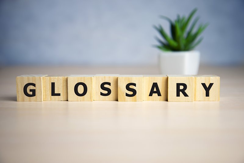 Glossary